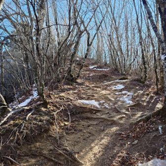 大幡山への登り
急登です