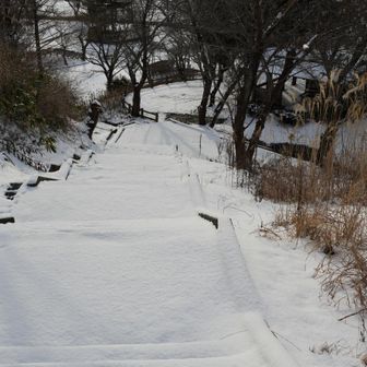 夏にはあまり通らない階段