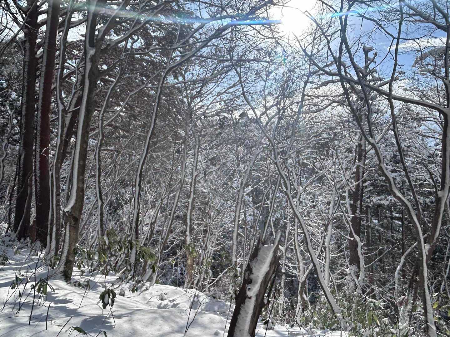 おひさま　いいぞー