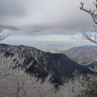 霧氷と遠くに東近江の町並み🏬