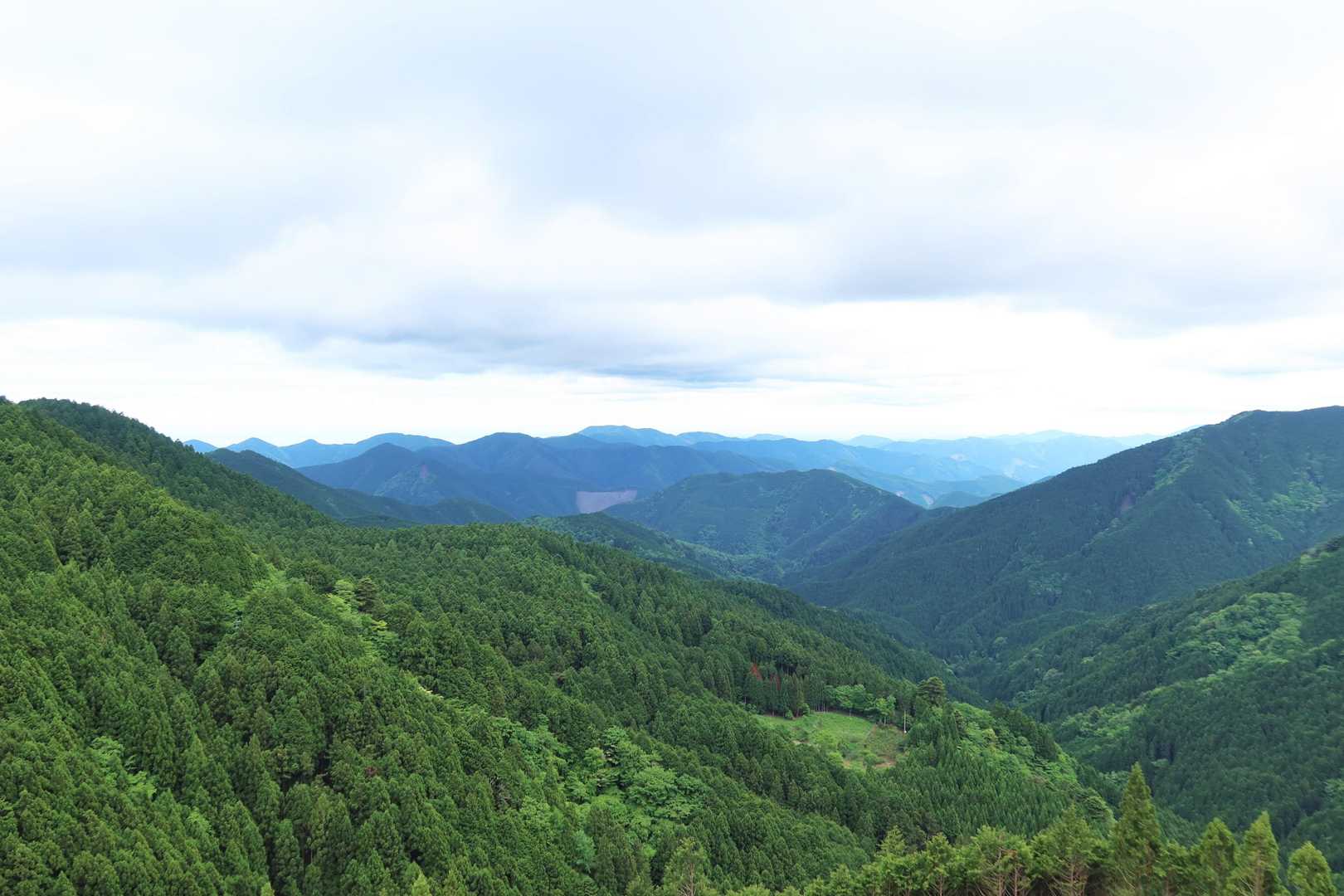 林道をテクテク戻って終了
雨に会わずセーフ😅
おつかれ山！