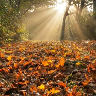 色々試してる間にガスと光が幻想的に😍
これまたアート的🍂