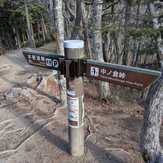 ここからパノラマ台へも行かれますが、そっちは三方分山の周回で周ったので今日は行きません。
人多めで休まず行こうとしたら、団体さんが下りだしました😅