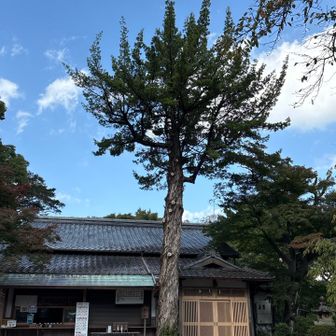 若山神社境内
