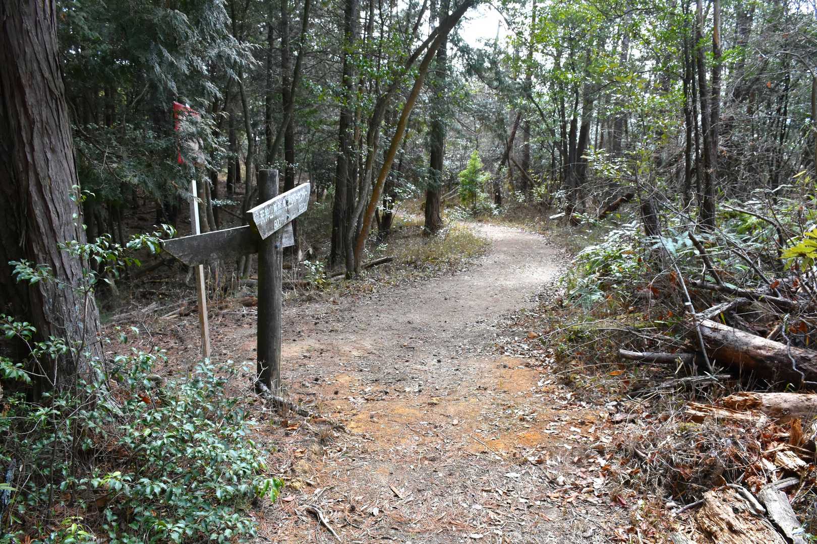 今日は足を延ばして「和気美しい森」へ行ってみます