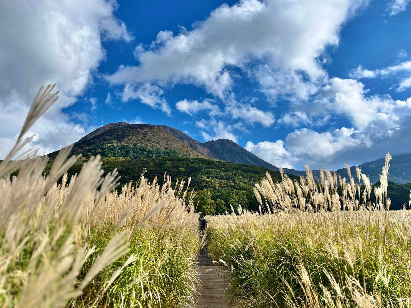 下山したらすっかり青空😂

紅葉は見れなかったけど好きなコースを
ゆったり歩く心地よい1日になりました🥾
- ̗̀ 𝚃𝚑𝚊𝚗𝚔 𝚢𝚘𝚞  ̖́-