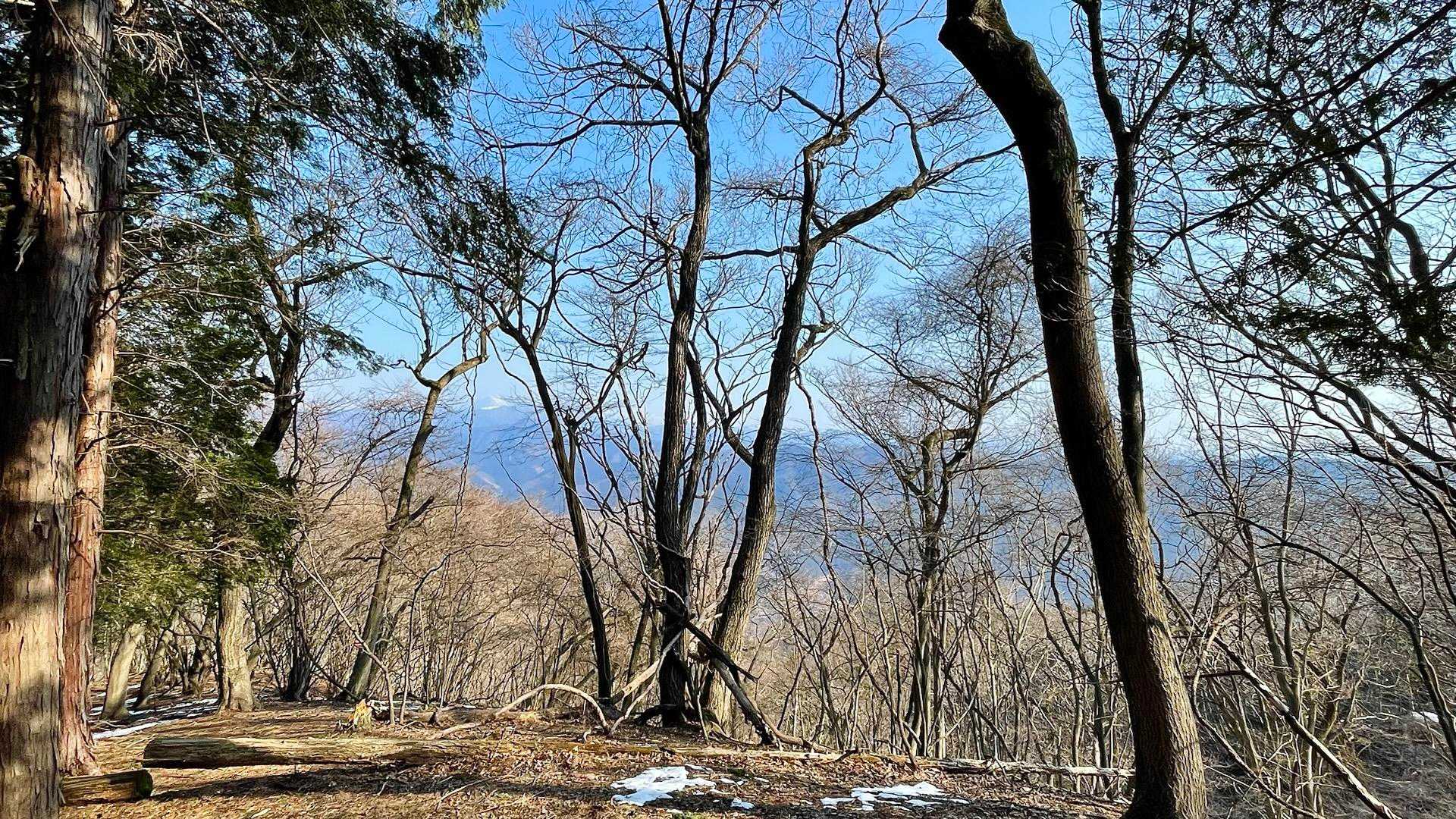 展望は木々の隙間からしか見えません😅