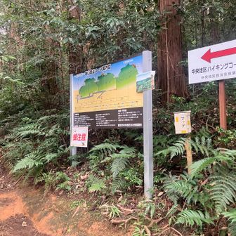 富士山公園からロードで移動、日吉神社⛩️の先から岩山にとりつく