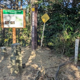 高尾山でおしまい🚩