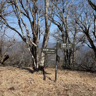 目指すはまだ先