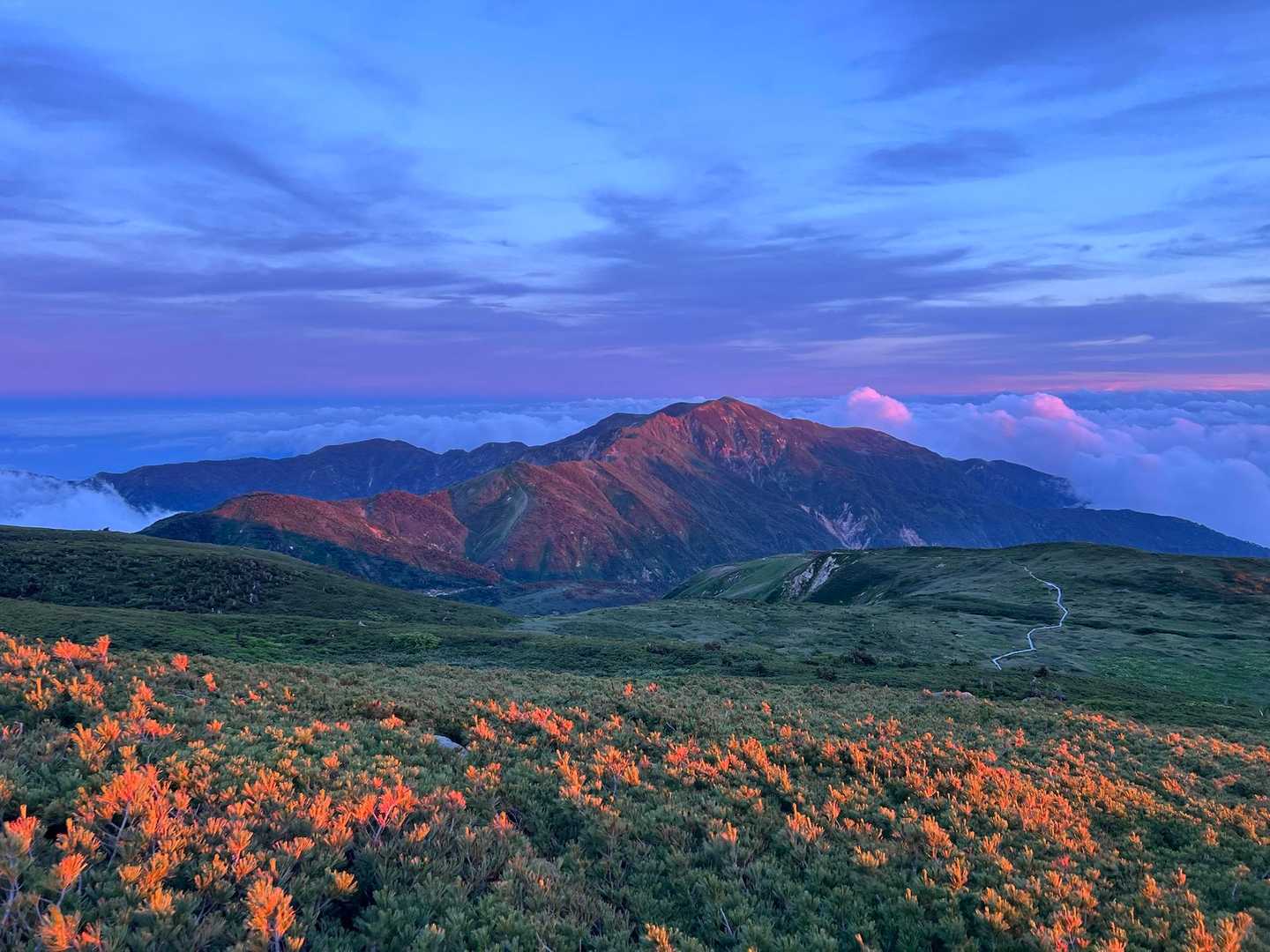 砂防新道-白山-観光新道 周回コースの写真