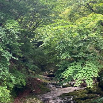 水の流れと共に涼しい風