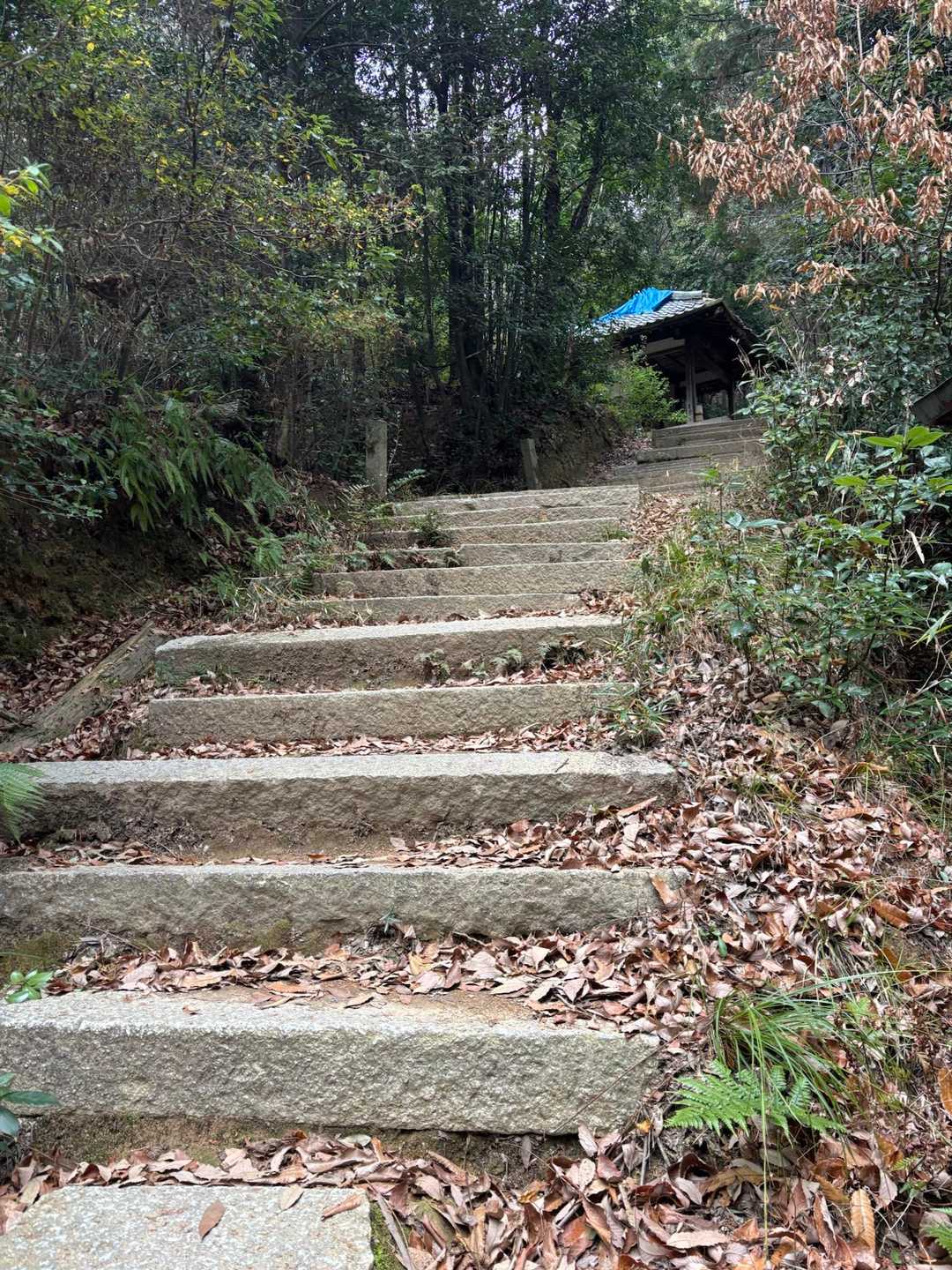 花園駅-双ヶ岡-御室仁和寺駅-御室仁和寺バス停-成就山-御 縦走コースの写真