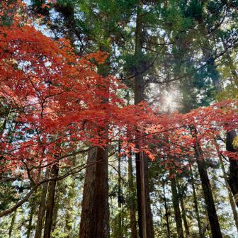 こういう画、好きです🫶