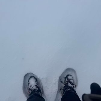 ゲートを潜って極寒トンネルを歩き
スノーシューを装着
下山もここまでスノーシュー
外すとき紐が凍ってました