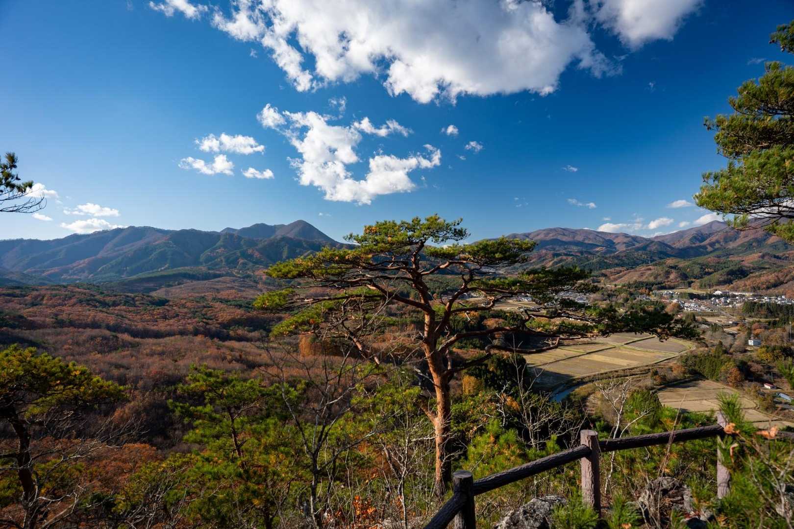 傾城森 往復コースの写真