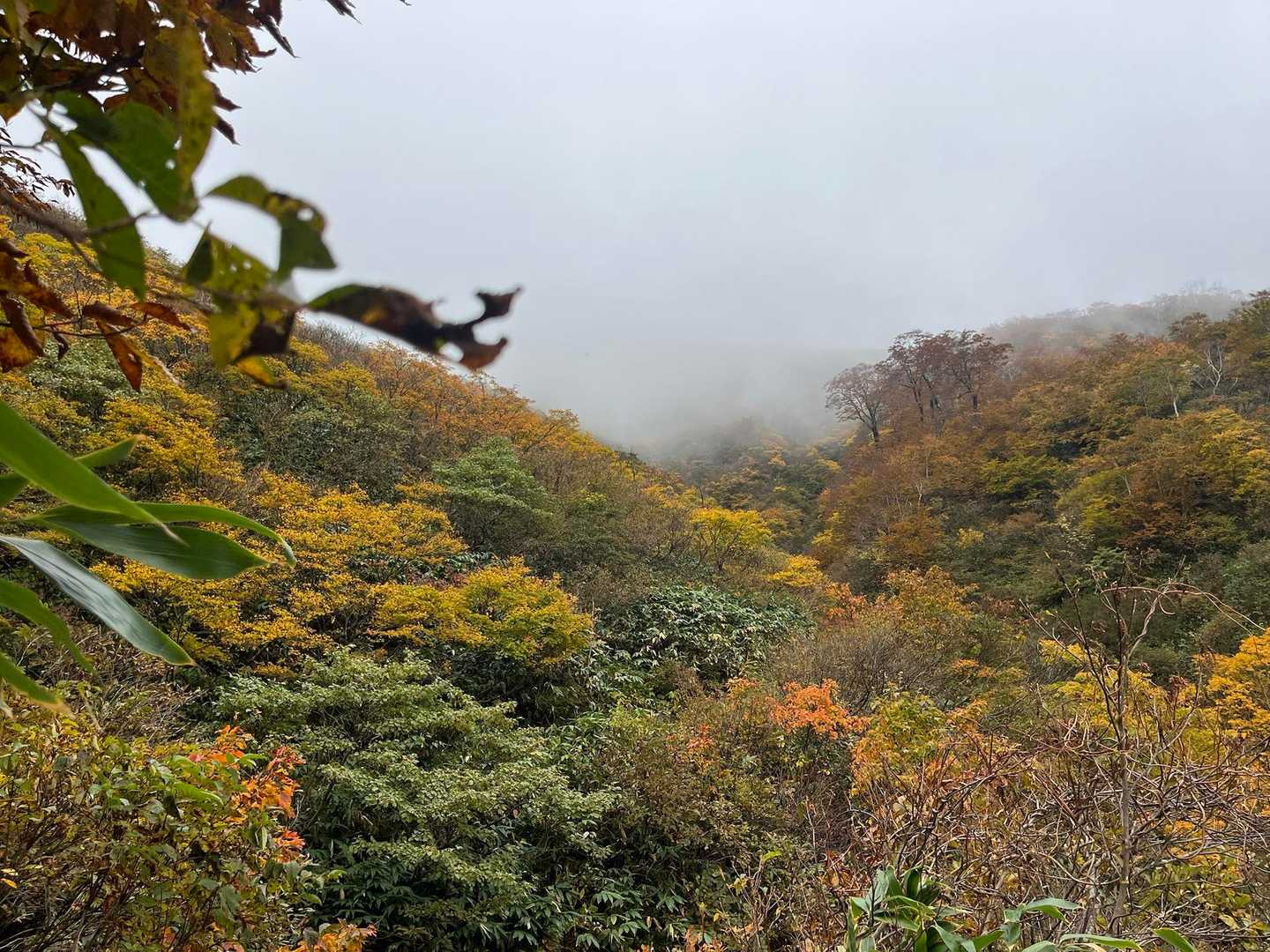 白毛門登山口-松ノ木沢ノ頭-白毛門-笠ヶ岳-大烏帽子-朝日 縦走コースの写真