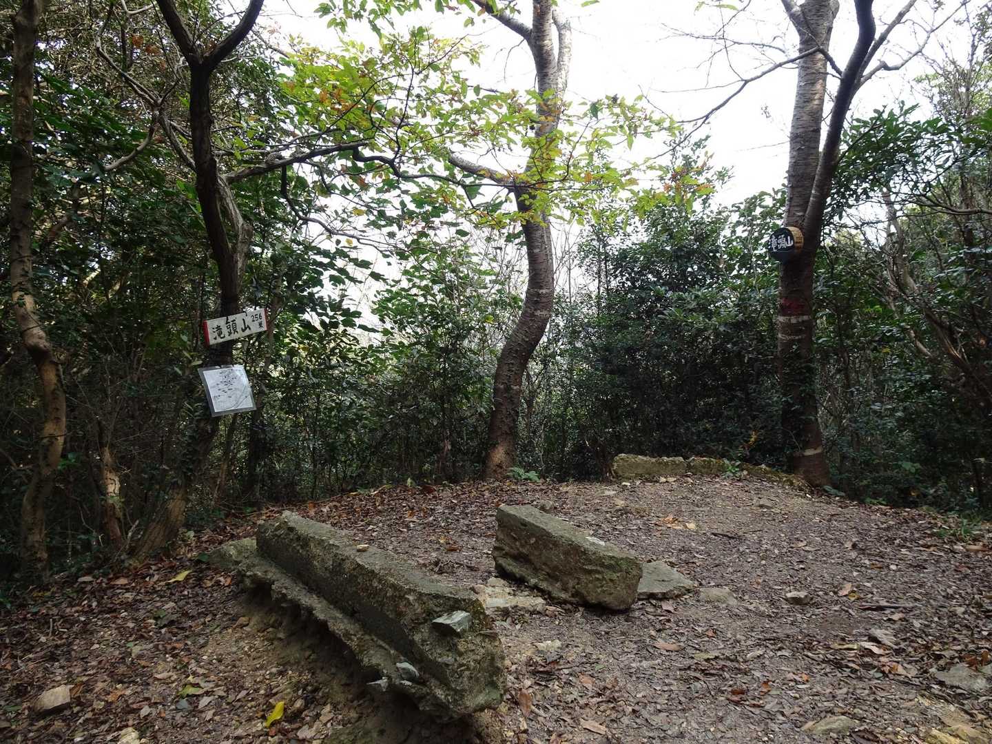 庄十山-藤尾山-中西山-衣笠山 周回コースの写真