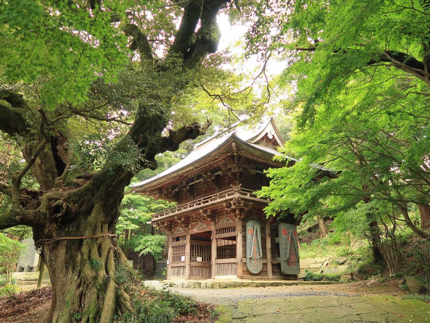薬王院⛩️
