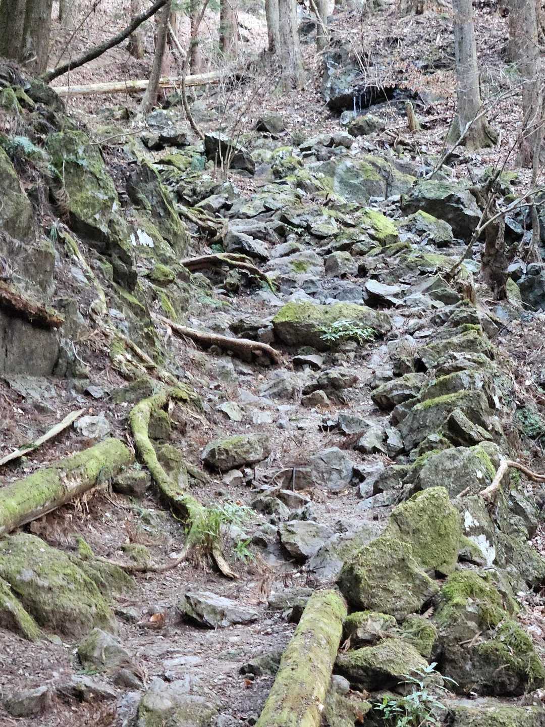 岩と苔が素敵😍