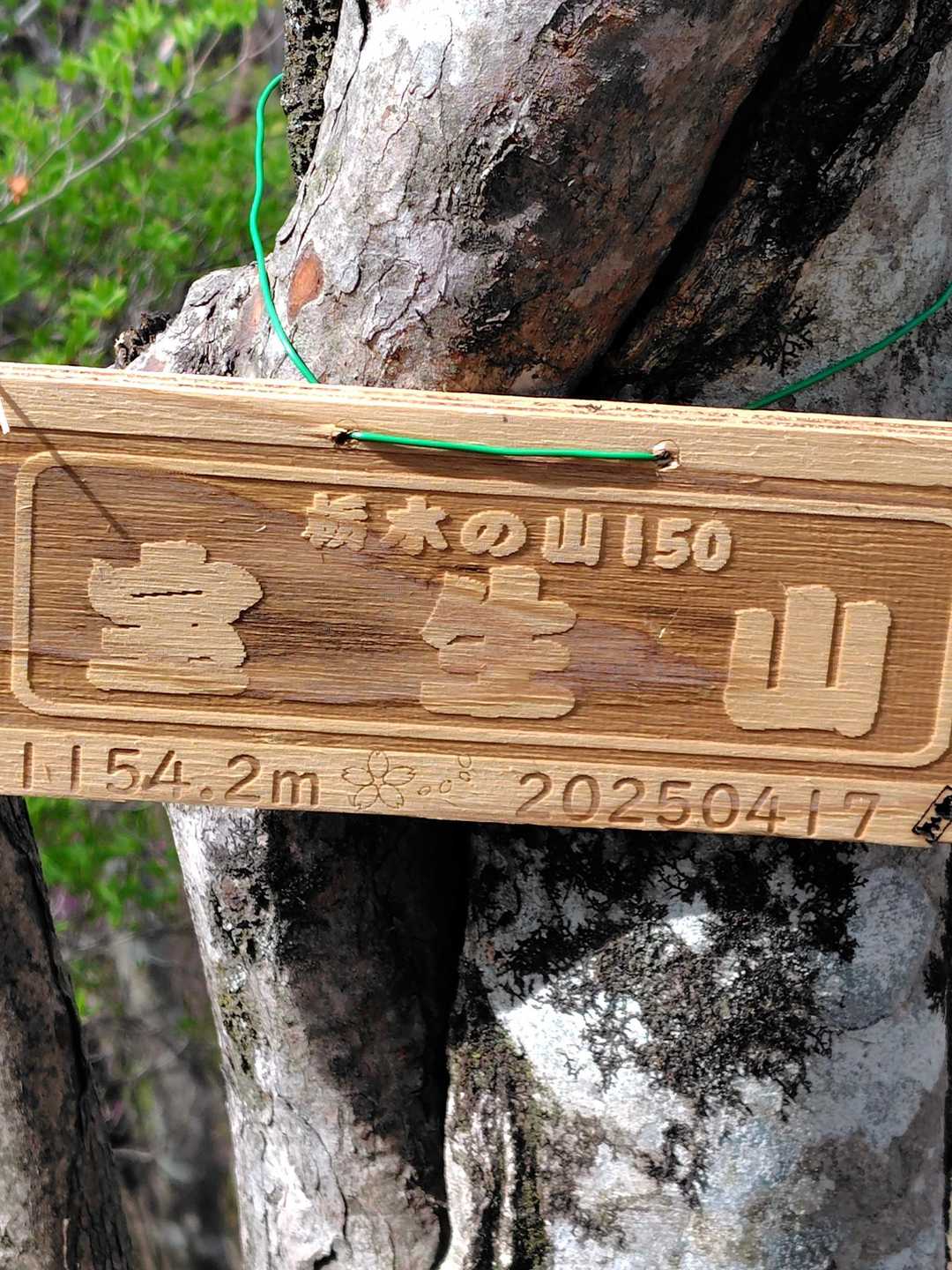 頂上