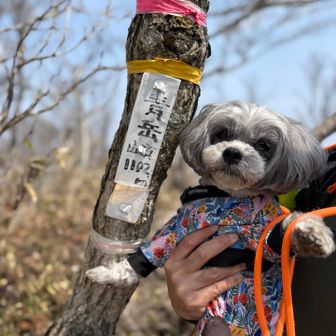 きのこ岩からすぐに青岳