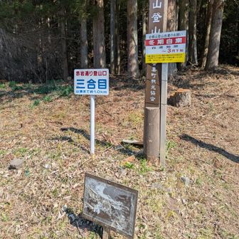 蜜岩登山口ここから本格的な道になります
