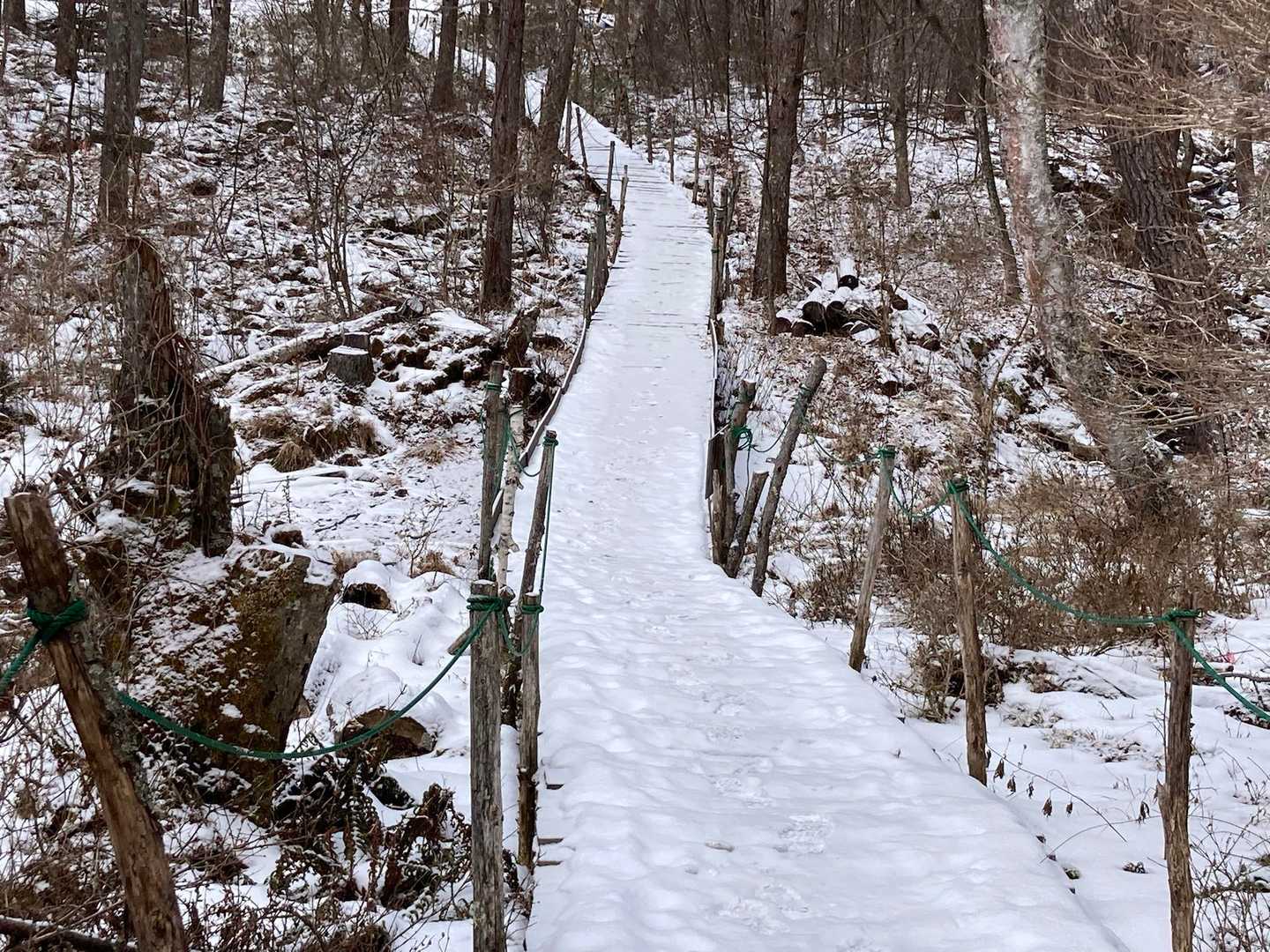 守屋山登山道入口-守屋山登山道入口-守屋山東峰 往復コースの写真