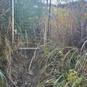 獣柵奥にも柵あります
