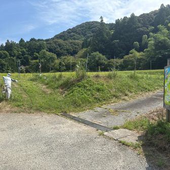 本谷コースとの分岐まで戻りました。