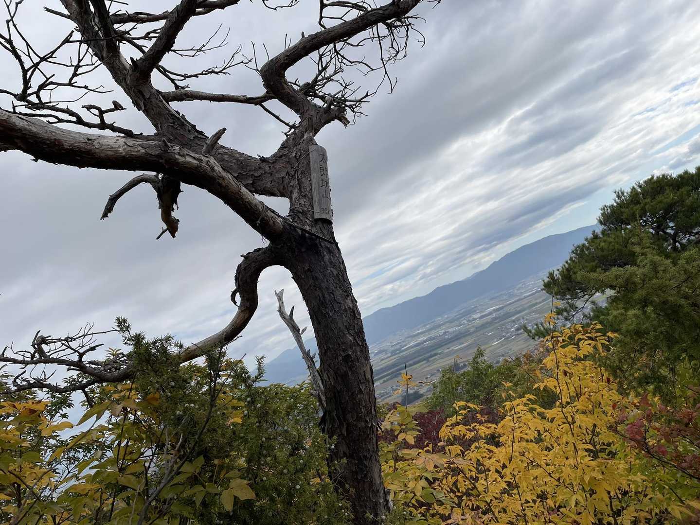 太郎坊山頂⛰