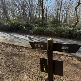 降りてきました