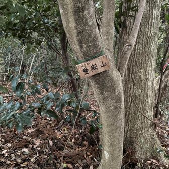 到着、段々暗くなってきた。この後30分でゴールした。日の入間近デシタ。お疲れ山⛰️