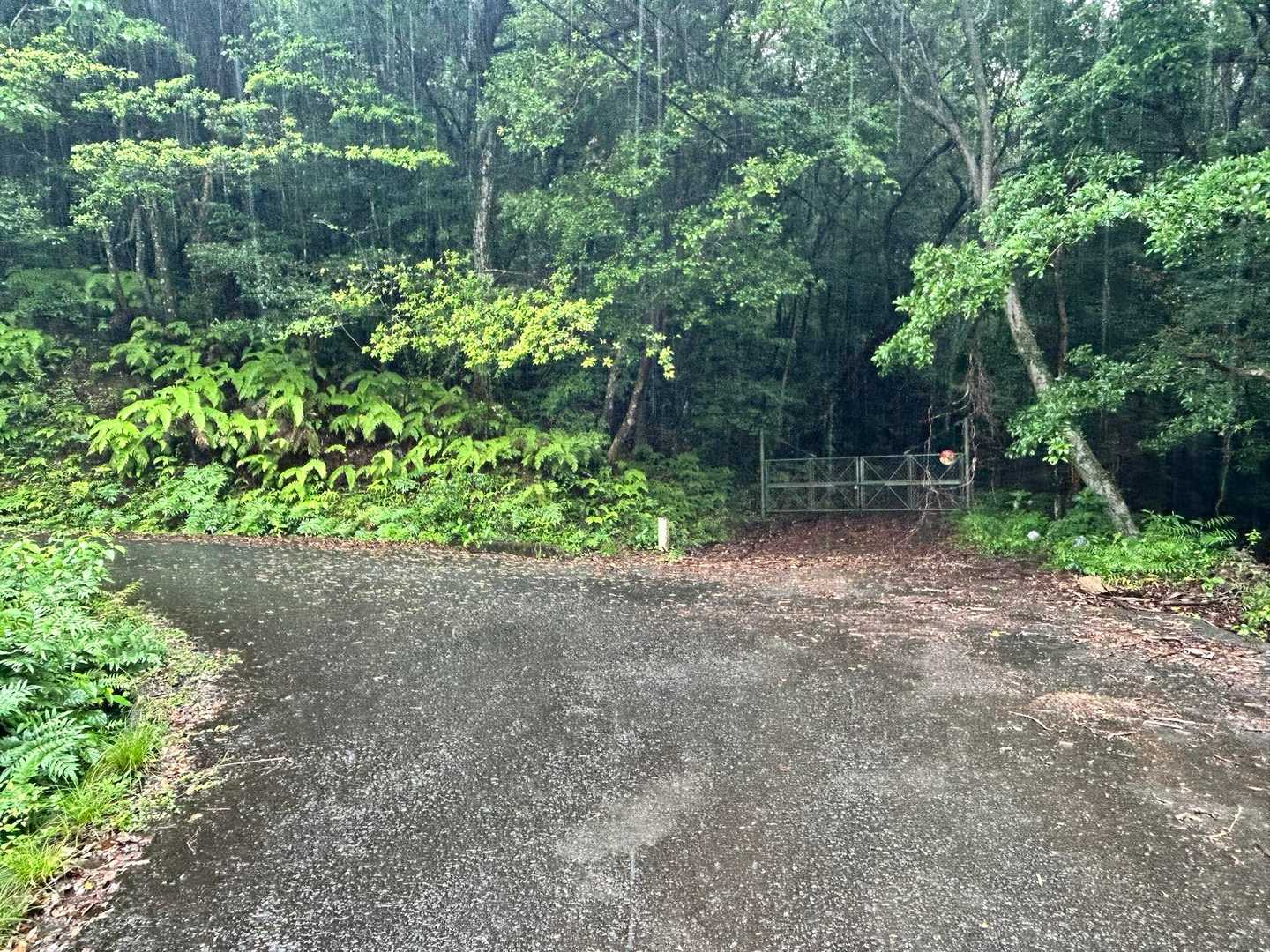 左に行くと雨乞い山
禅定寺山へはまっすぐ