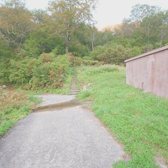 正面の階段から降りてきた。
向こう側が正しい道だけど、
なんか手前にも道伸びてたので様子見してたけど谷があるのでこっちからは行けなさそう