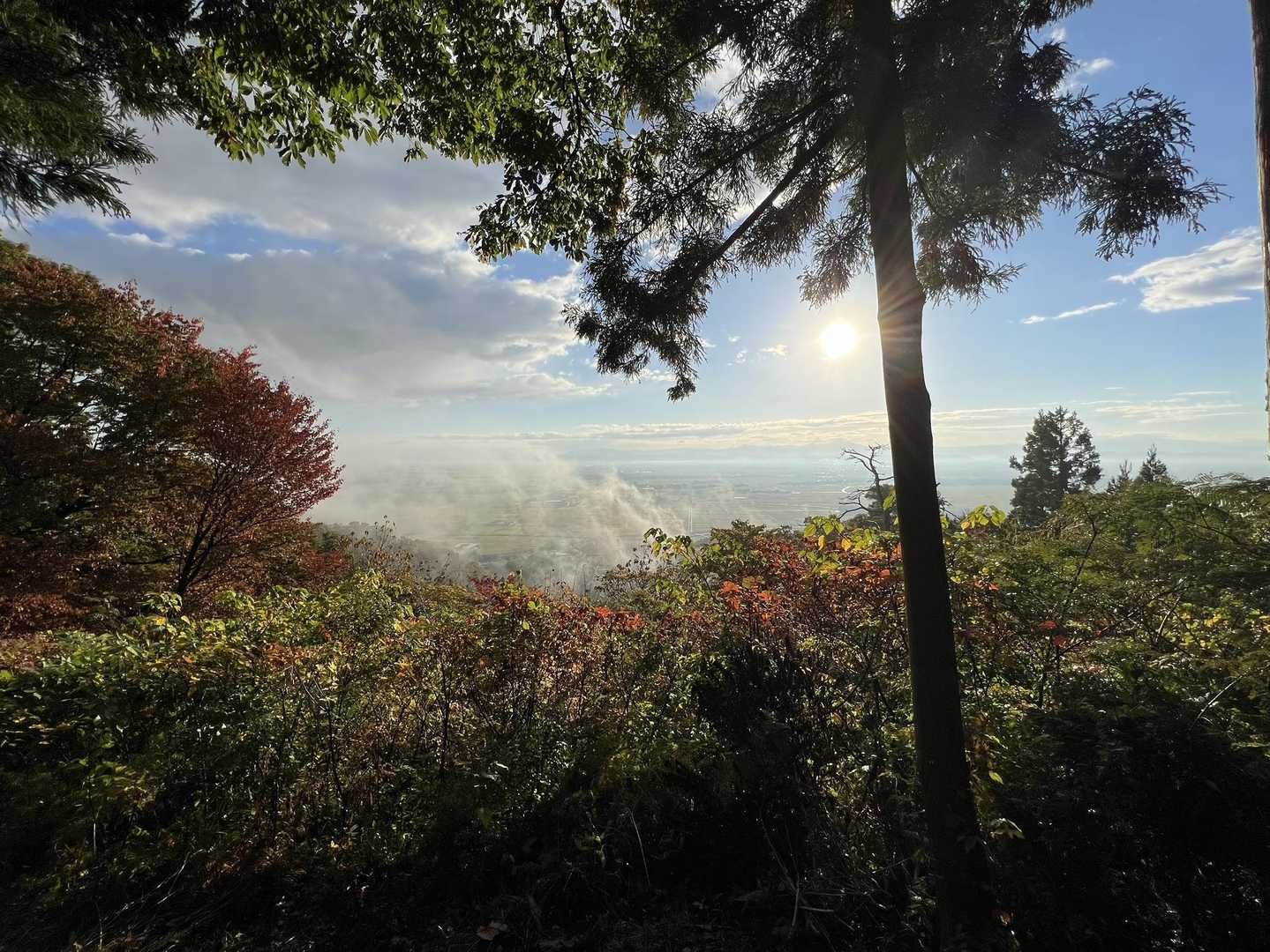 多宝山（岩室温泉丸小山公園）＜天神山ルート＞の写真