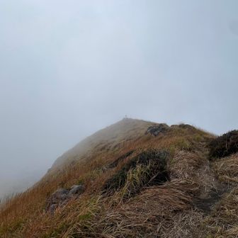 皿山の頂上が、見えてきました。