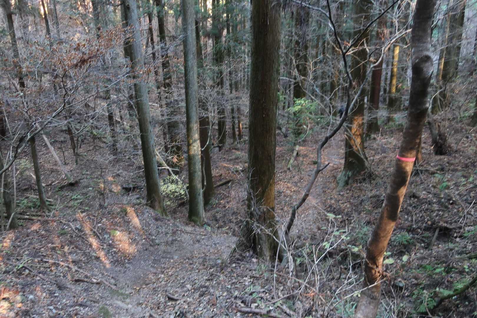 でも暗くて、ソロだったら心細くなっちゃう