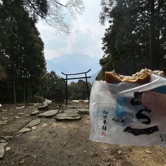 どら一🥯😁やはりバリウマ
どら一＋⛩️＋石鎚山🏔️