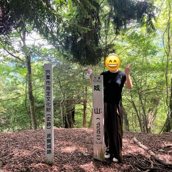 山の日なんで
