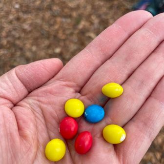チョコをひと息で食らう