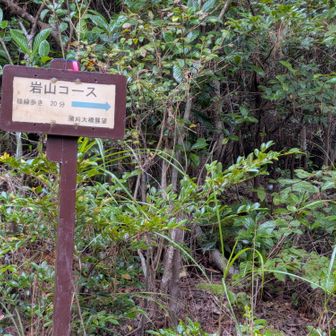 後火山はパスして岩山コースへ