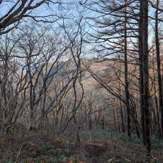 最初あの山が東の物見かと思った。実際は「霊山」山頂