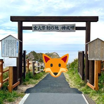 シベリアンハスキー