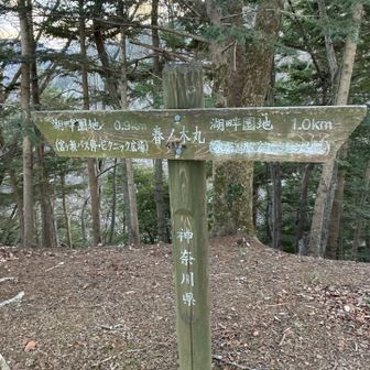 シルタレ沢の頭から登り返し、春の木丸へ。