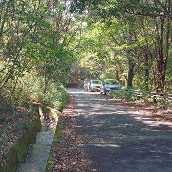 下山完了🔚
…ムムム😳
またも私の愛車フィットの後ろに同じフィットが😊
なんと今から入山らしく、やっとお逢い出来ました✨
もちフィットの話で盛り上がる！😁

私は下山なのに、おじ様私も入山と思われたらしく…
一緒に登ろうオーラ満々で、かなり可愛かった💖
⇧
きっと20年後の私🤠
お疲れ様でした〜🔚