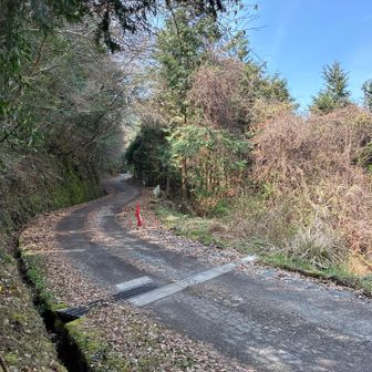 無事登山口へ😊
ここから少し戻って北方面、笹又橋まで下る車道は普通に広い、前門岳行くならこのルートがオススメです👍