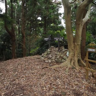 可也山頂です。広くなっていますが、ここからの景色はありません。この先に展望台があります。