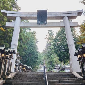 入口の鳥居がデカい✨