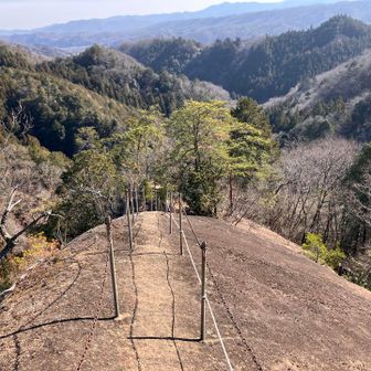 兎岩🪨に到着。左右に柵があるので一応安全ですが、結構スリルがあります😨。